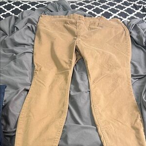Terra & Sky Beige/Tan Skinny Pants